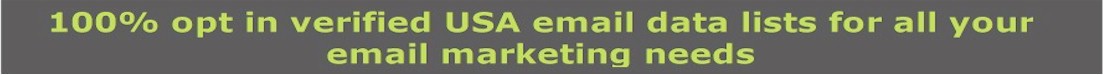 USA B2B Email Marketing Solutions opt in email lists